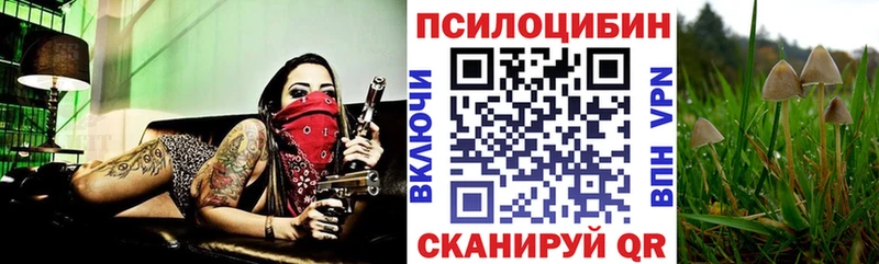 Псилоцибиновые грибы Magic Shrooms  купить наркотики сайты  мега   Могоча 